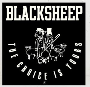 Black Sheep ‎- The Choice Is Yours