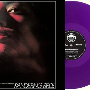 Jiro Inagaki & Soul Media - Wandering Birds