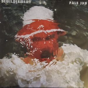 Pale Jay - Bewilderment