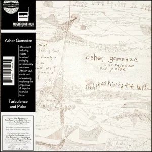 Asher Gamedze - Turbulence And Pulse