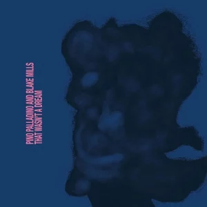Pino Palladino & Blake Mills - That Wasn't A Dream