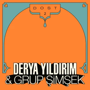 Derya Yıldırım, Grup Şimşek - Dost 2