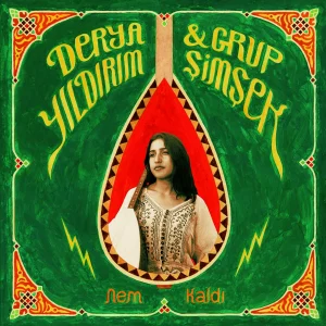Derya Yıldırım & Grup Şimşek - Nem Kaldı